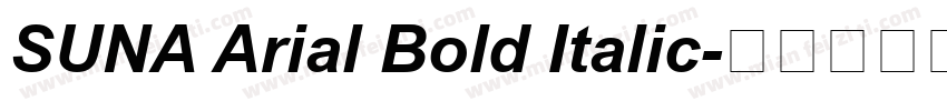 SUNA Arial Bold Italic字体转换